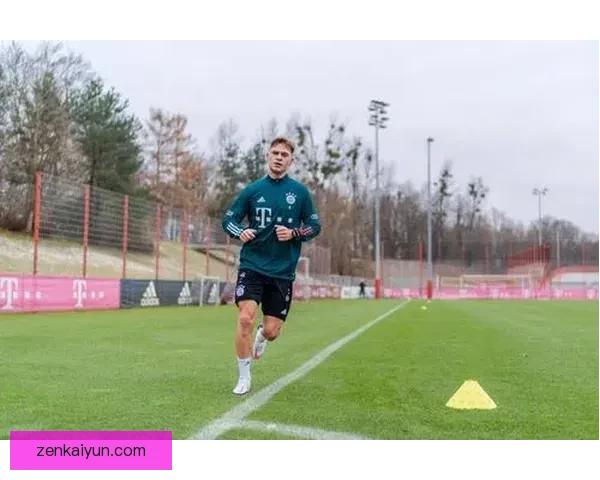 基米希训练方式